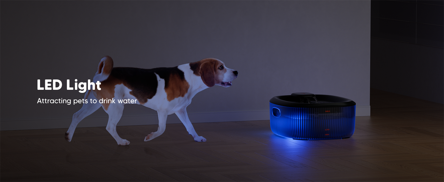 dog fountain water bowl