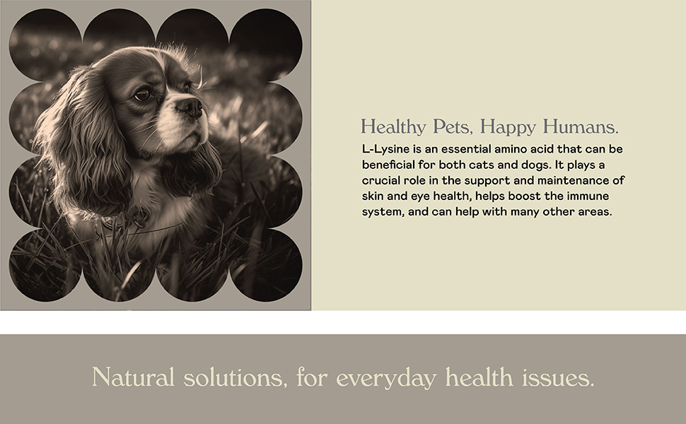 Complete Natural Products, L-Lysine for pets, amino acid for pets