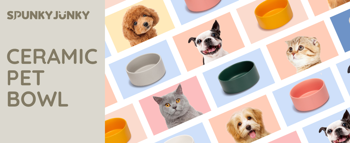 SPUNKYJUNKY Ceramic Dog and Cat Bowl Modern Cute Weighted Food Water Bowl