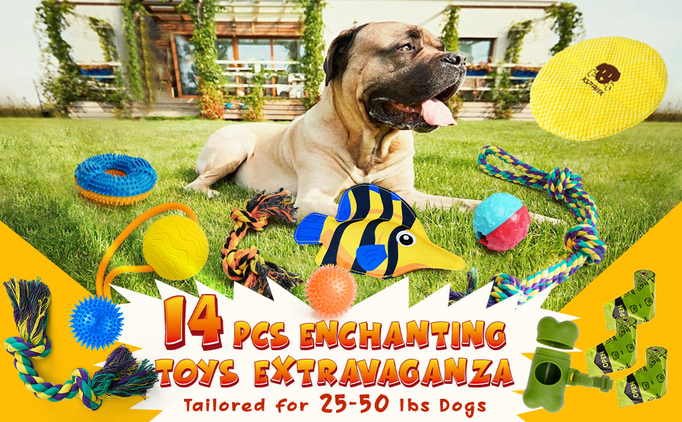 Pet Supplies KIPRITII Assorted Dog Chew Toys Tailored for 2550lbs