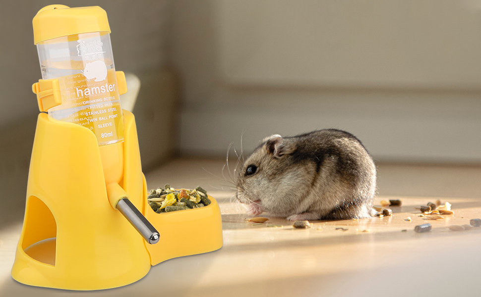Eine Maus, die Essen aus einem Lebensmittelfuttermittel isst