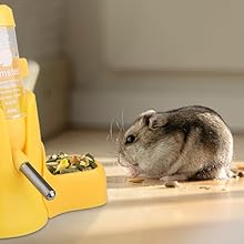 Eine Maus, die Essen aus einem Lebensmittelfuttermittel isst