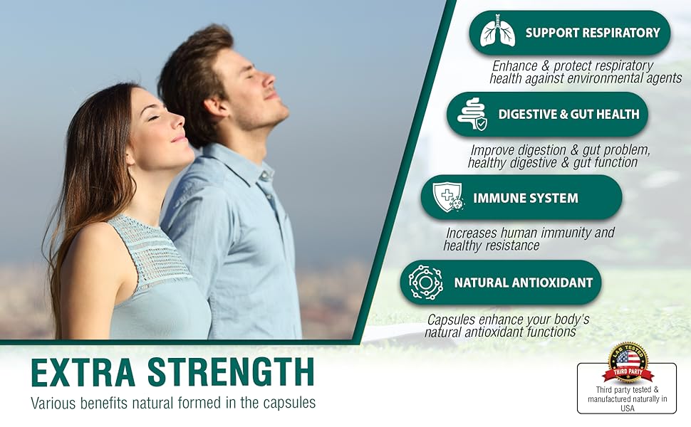 goldenseal powder organic echinacea and goldenseal goldenseal root capsule golden seal root powder