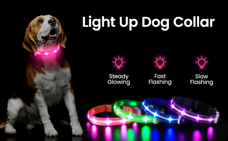 HZK Light Up Dog Collar, LED Glow Collar with USB Rechargeable Lighted