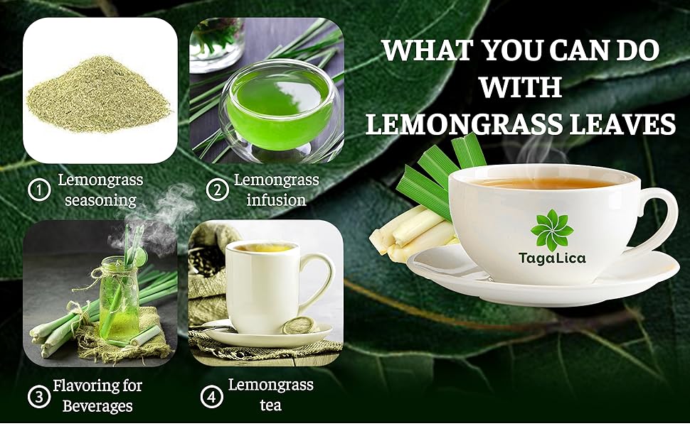Lemongrass Leaves Tea Bags