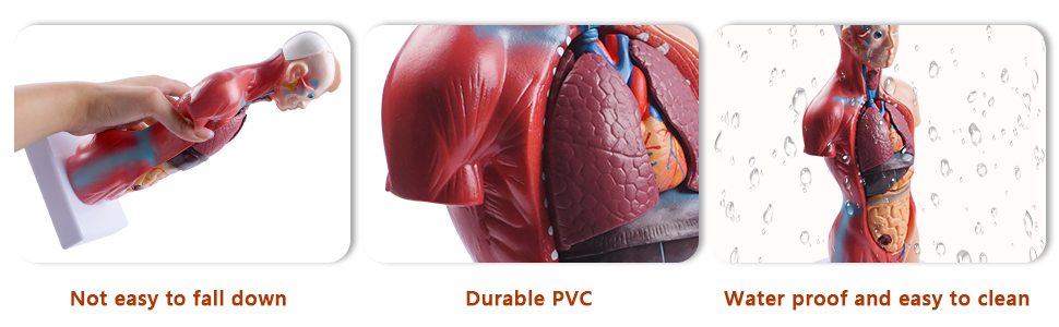 Large manufacture image 4