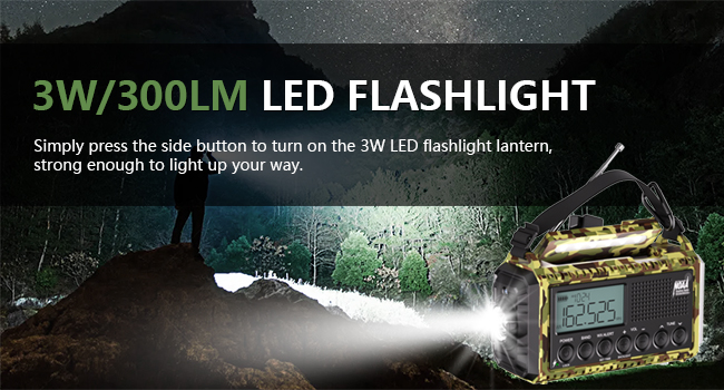 LED Flashlight