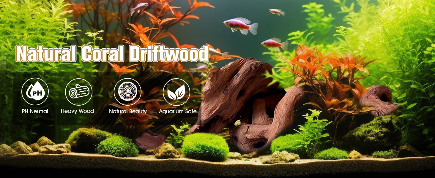 driftwood