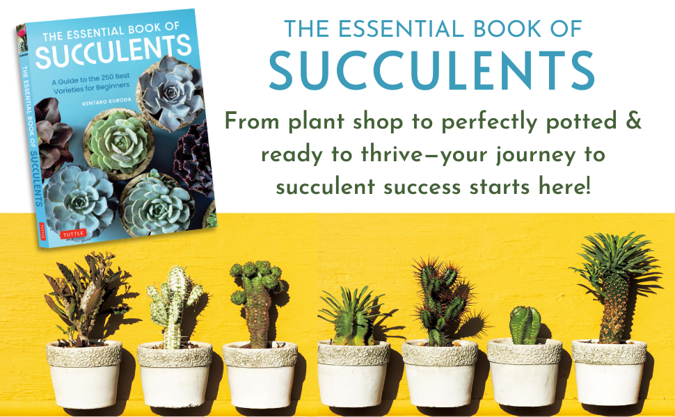 多肉植物全書 All about SUCCULENTS 多肉植物全書 All about SUCCULENTS | パワポン・スパナンタナー