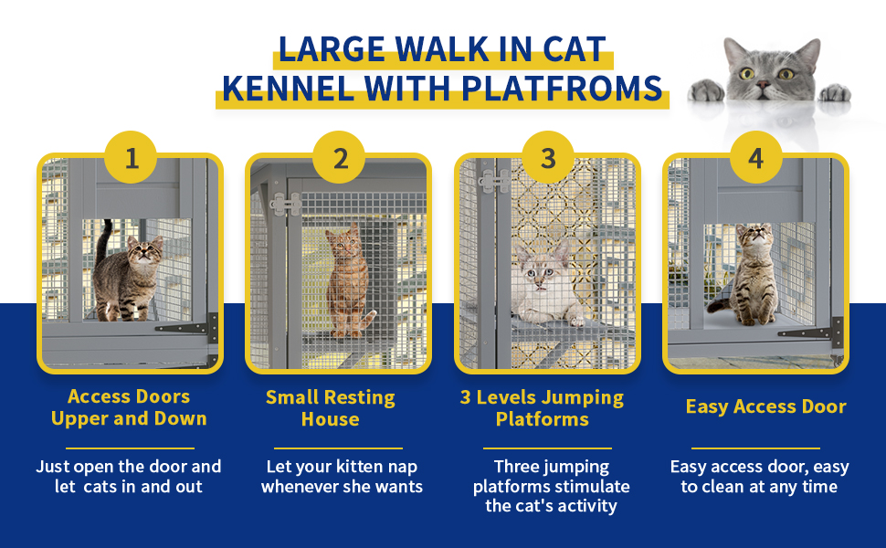 outdoor cat enclosures