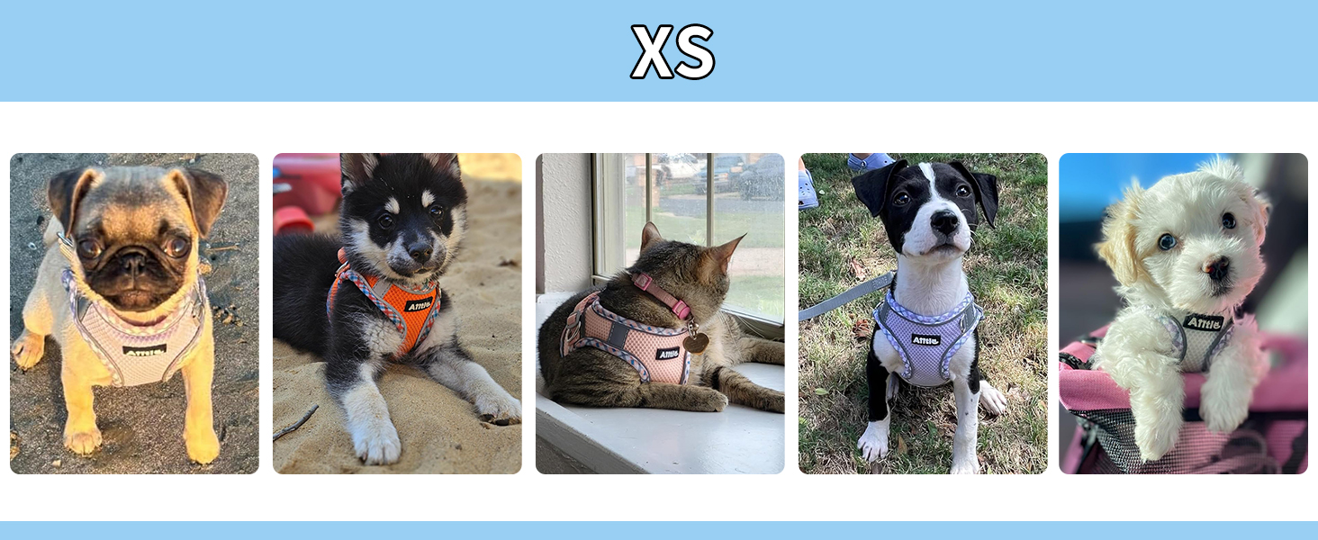 AIITLE Teacup Puppy Harness with Leash - Adjustable Soft Vest with Magic Velcro