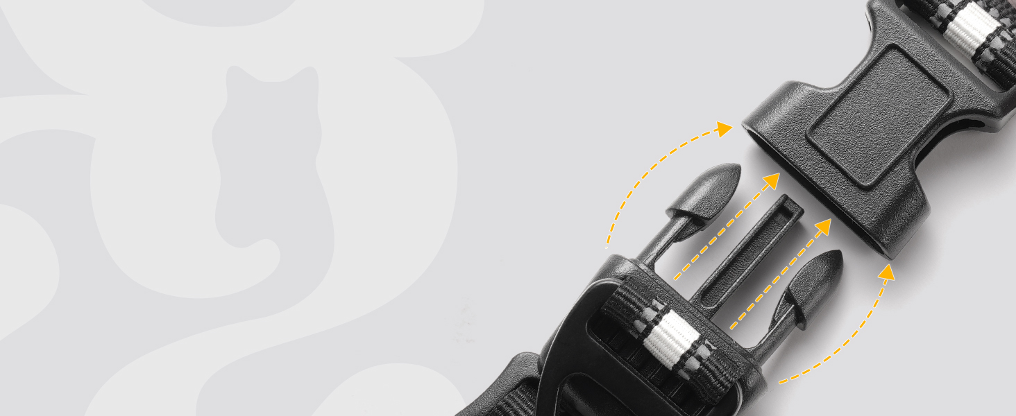 cat harness and leash