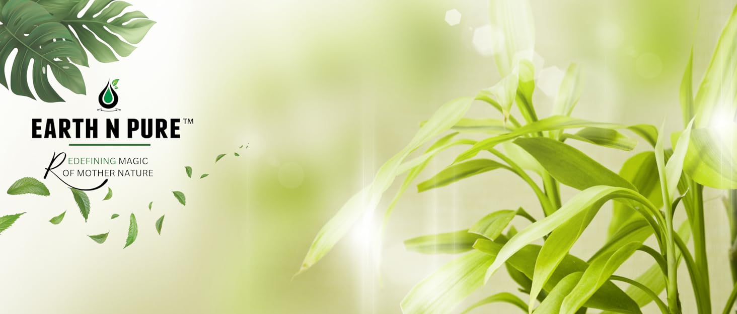 ESSENTIAL OILS BRAND