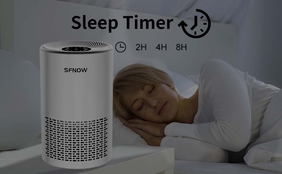 HEPA Air Purifier for Large Room