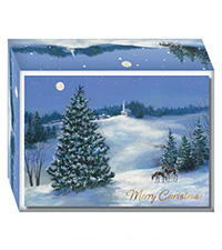 Amazon.com : Crown Point Graphics 30 Count Boxed Countryside