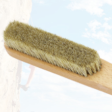 Bristle