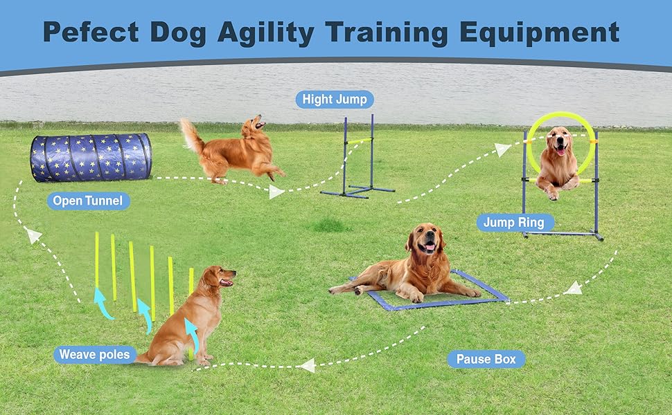dog agility training equipent