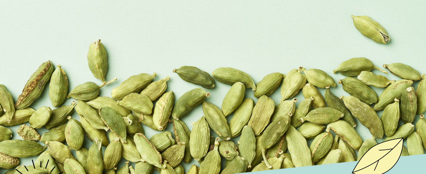 Organic Cardamom Seeds Alpi Nature UK