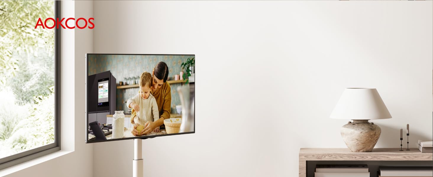 电视支架 移动式