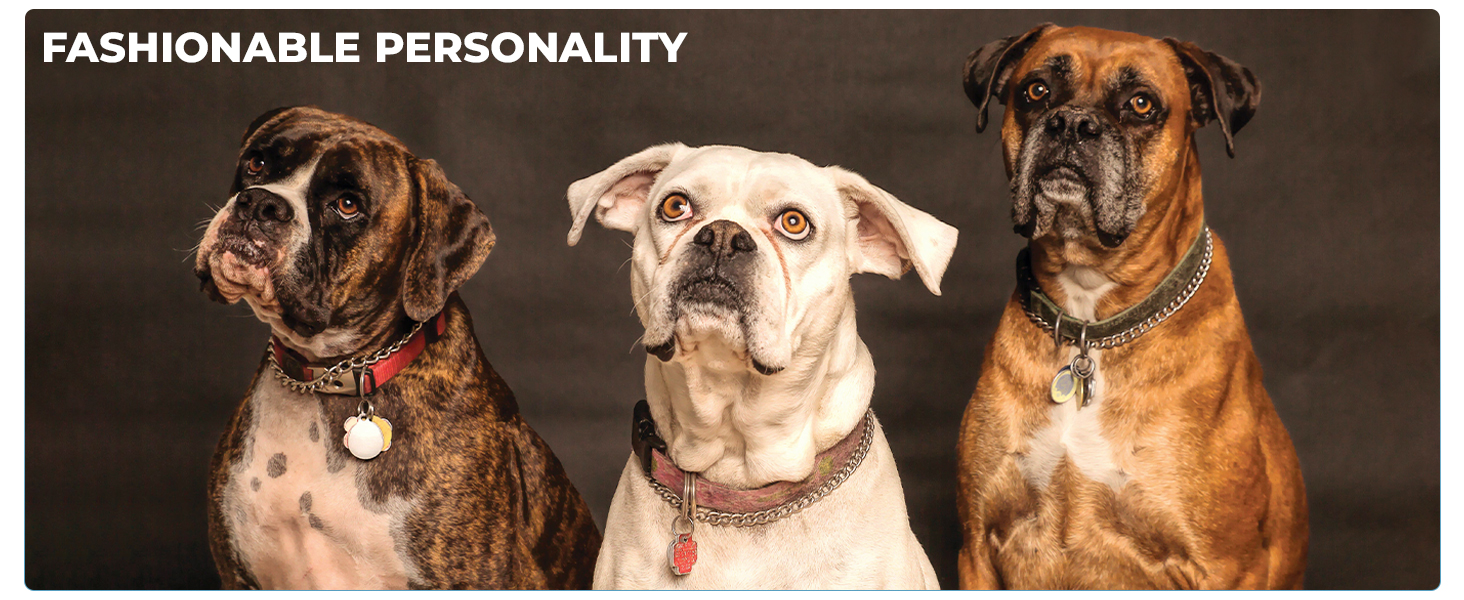 dog tag ID pat collar identity plate Customized Pet ID Tag with Split Ring 
