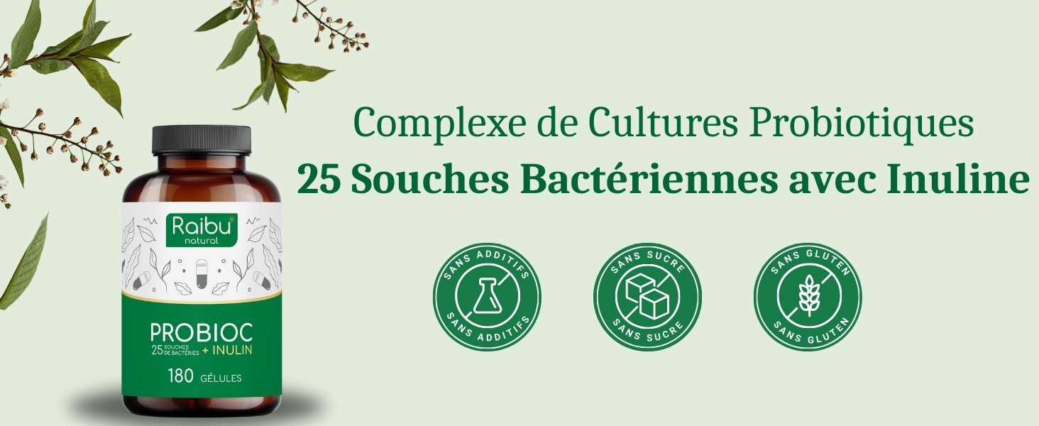 probiotique flore intestinale probiotique probiotiques lactobacillus gasseri