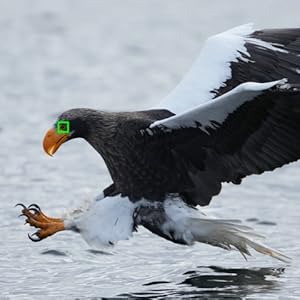 Sony a1 Mirrorless Camera