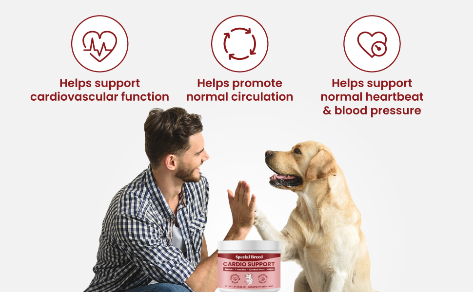 wellbeing essentials prevention holistic para perros guard multivitamin senior animal healthy