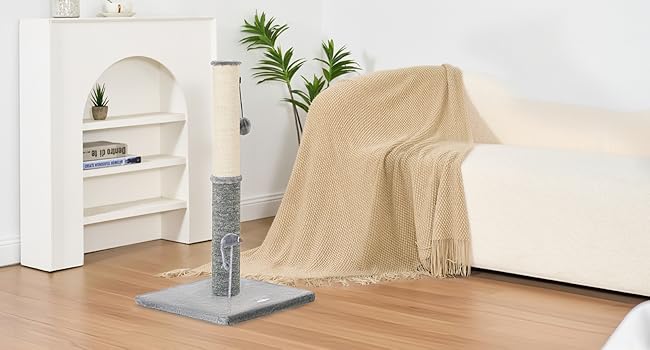 gray cat scratching post