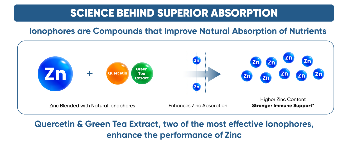 zinc, quercetin, green tea extract, ionophores, natural zinc ionophores, high absorption,