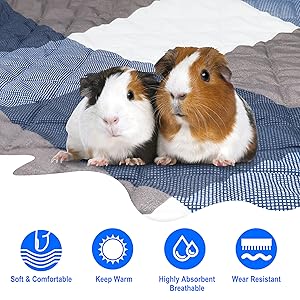 guinea pig stuff