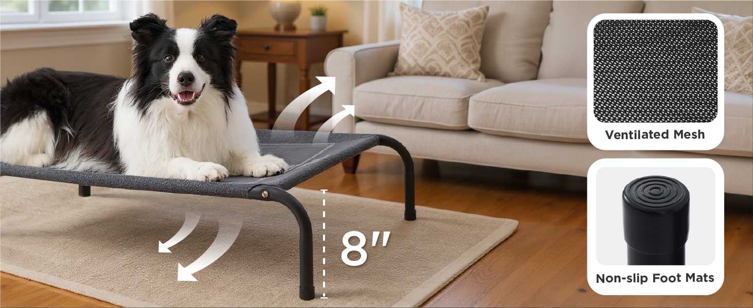 raised dog bed