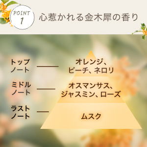 FC