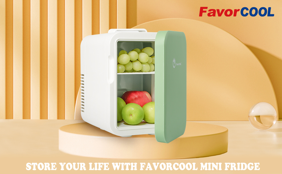 mini fridge