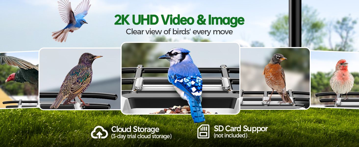 Solar Smart Bird Feeder with Camera