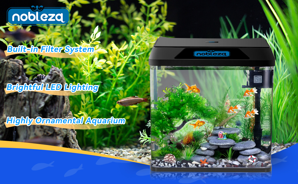 Das Aquarium ist eine tolle Option für kleine Fische