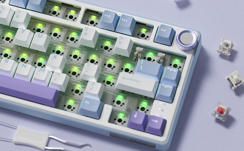 Hot Swappable RGB Backlit Mechanical Gaming Keyboard