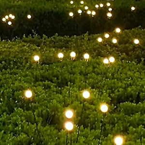 Firefly light