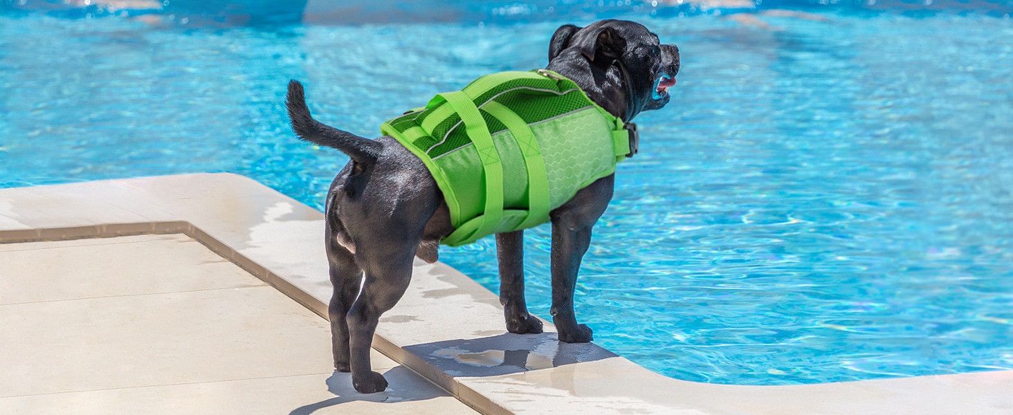 dog life jacket