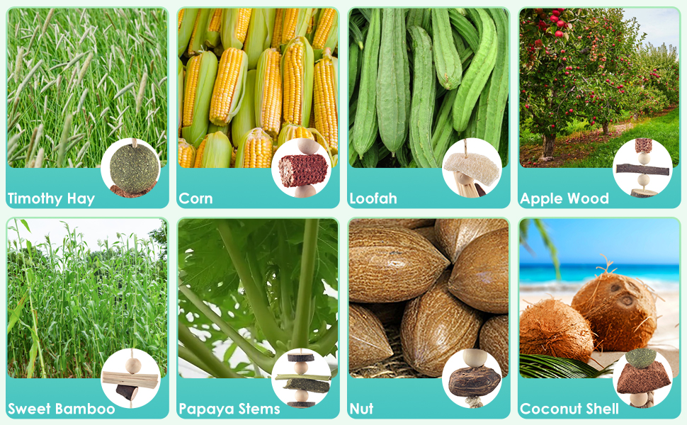 Bunny Hamster Rabbit Chew Toys