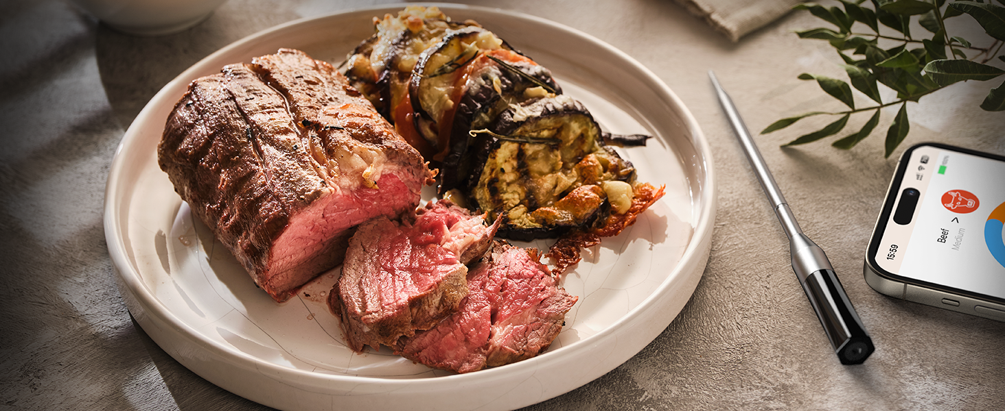 wireless meat thermometer