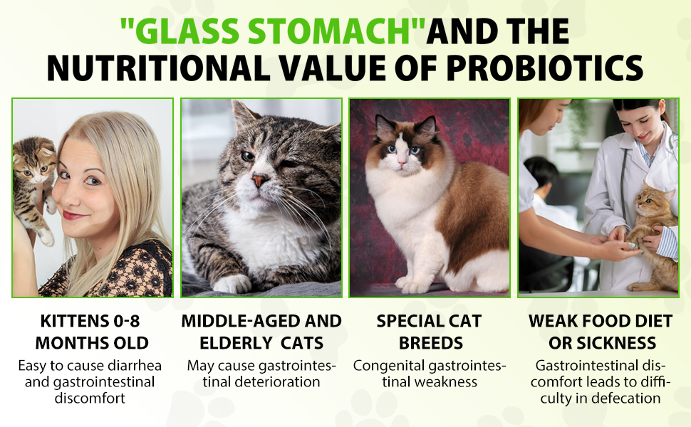 Cat Constipation Relief,