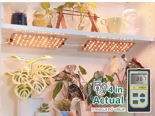 Grow Lights for Indoor Plants