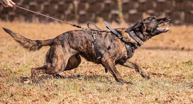 Large manufacture image 3