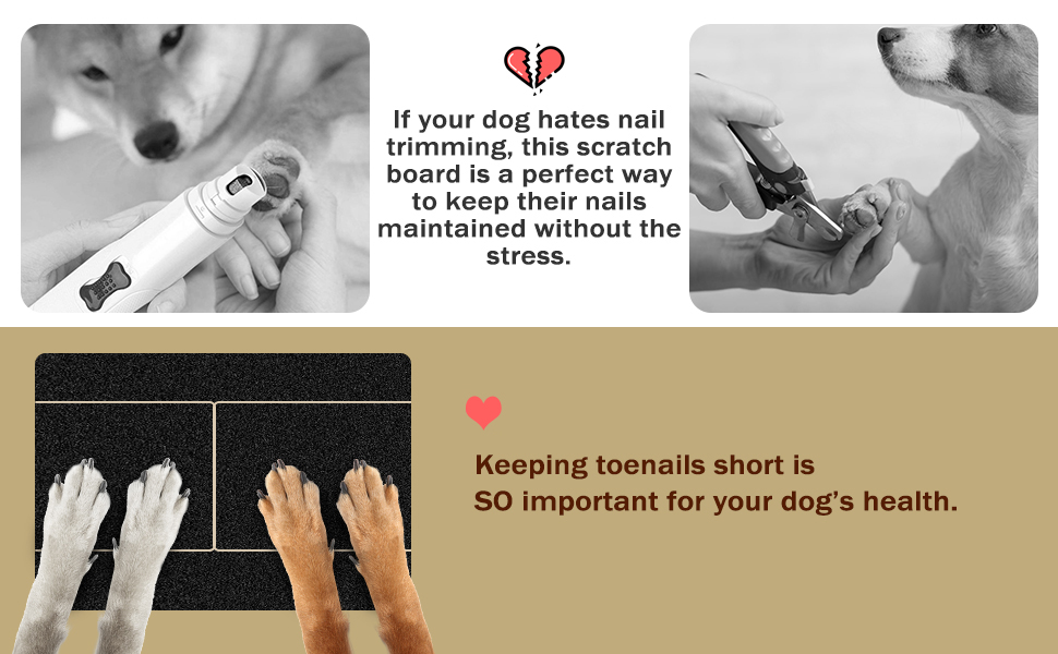Dog Nail Scratch File Board Pet Scratching Nails Filer