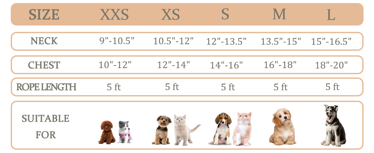 Step-in Air Dog Harness - All Weather Mesh Vest Harness for Small Medium Dogs by Best Pet Supplies