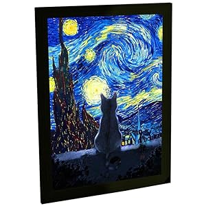 quadro gato