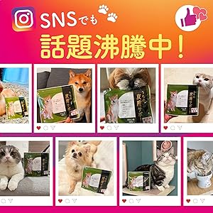 Amazon.co.jp: 【獣医師監修】 うちの脳活サポート サプリメント