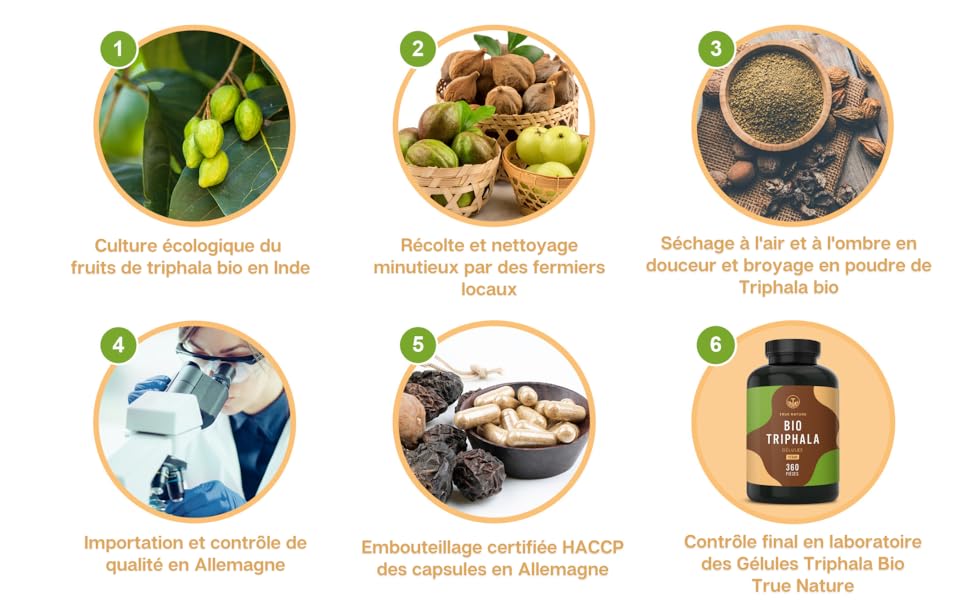 Triphala-Bio-Digestion-Immunite