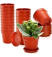 ZOOFOX 20 Pack Plastic Plant Pots, 4 Inch Nursery Pot Flower Pots with Drainage Hole and Tray, Pl...