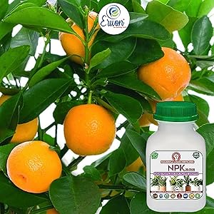 Small manufacture image 5